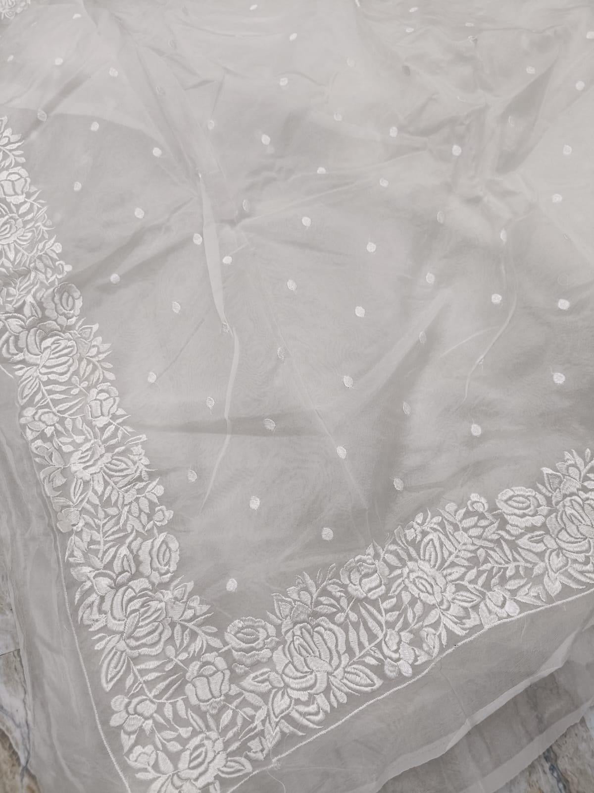 Siena Banarasi Soft Organza Silk Saree