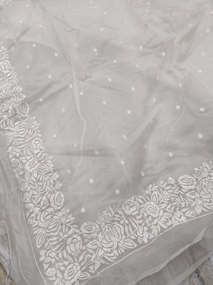 Siena Banarasi Soft Organza Silk Saree