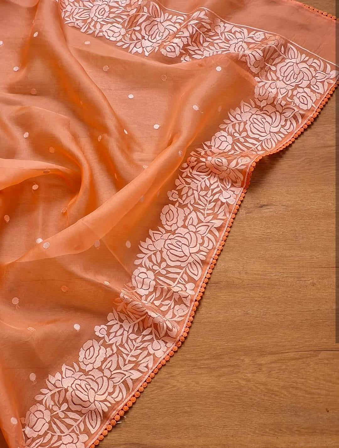 Siena Banarasi Soft Organza Silk Saree