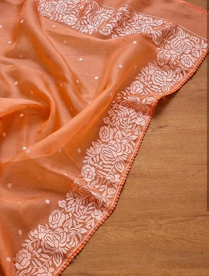 Siena Banarasi Soft Organza Silk Saree
