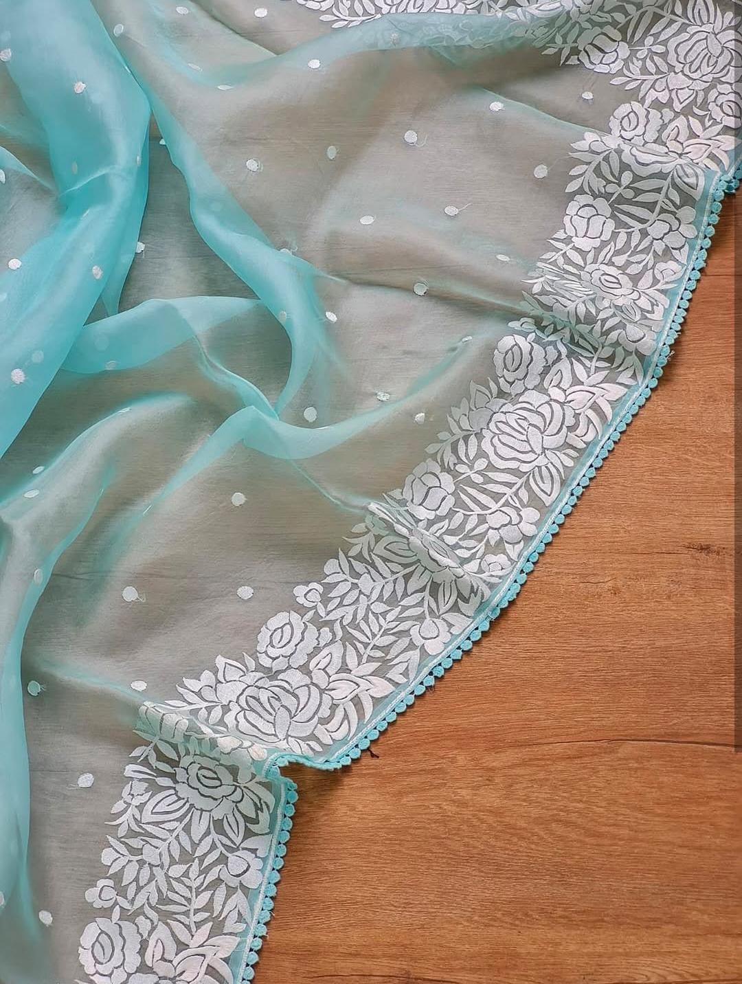 Siena Banarasi Soft Organza Silk Saree