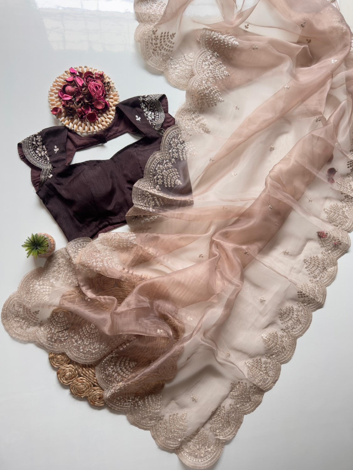 Jariq Beige Organza Tissue Saree