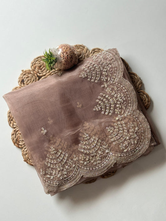 Jariq Beige Organza Tissue Saree